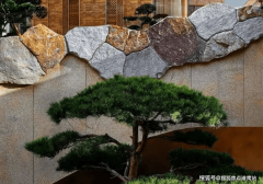 仍是天井中自万亩松林中精选而出的意味家族传